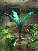 Nirnroot Plant